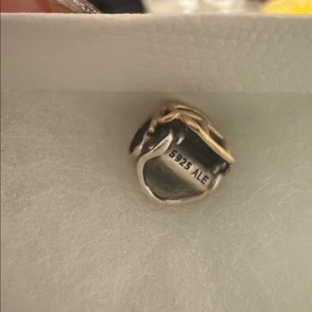Pandora Seahawks helmet charm - Picture 3 of 4